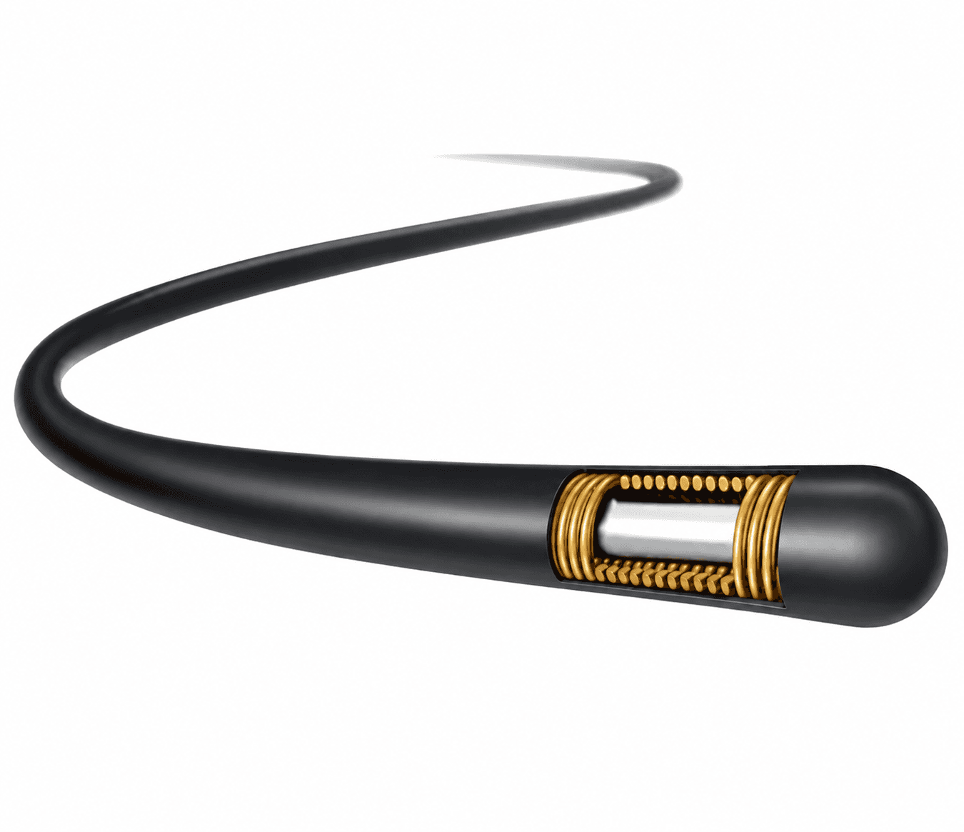 Image of Microguidewire