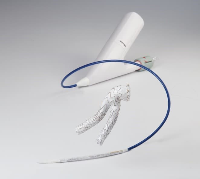 Image of Endovascular aortic stent-graft system