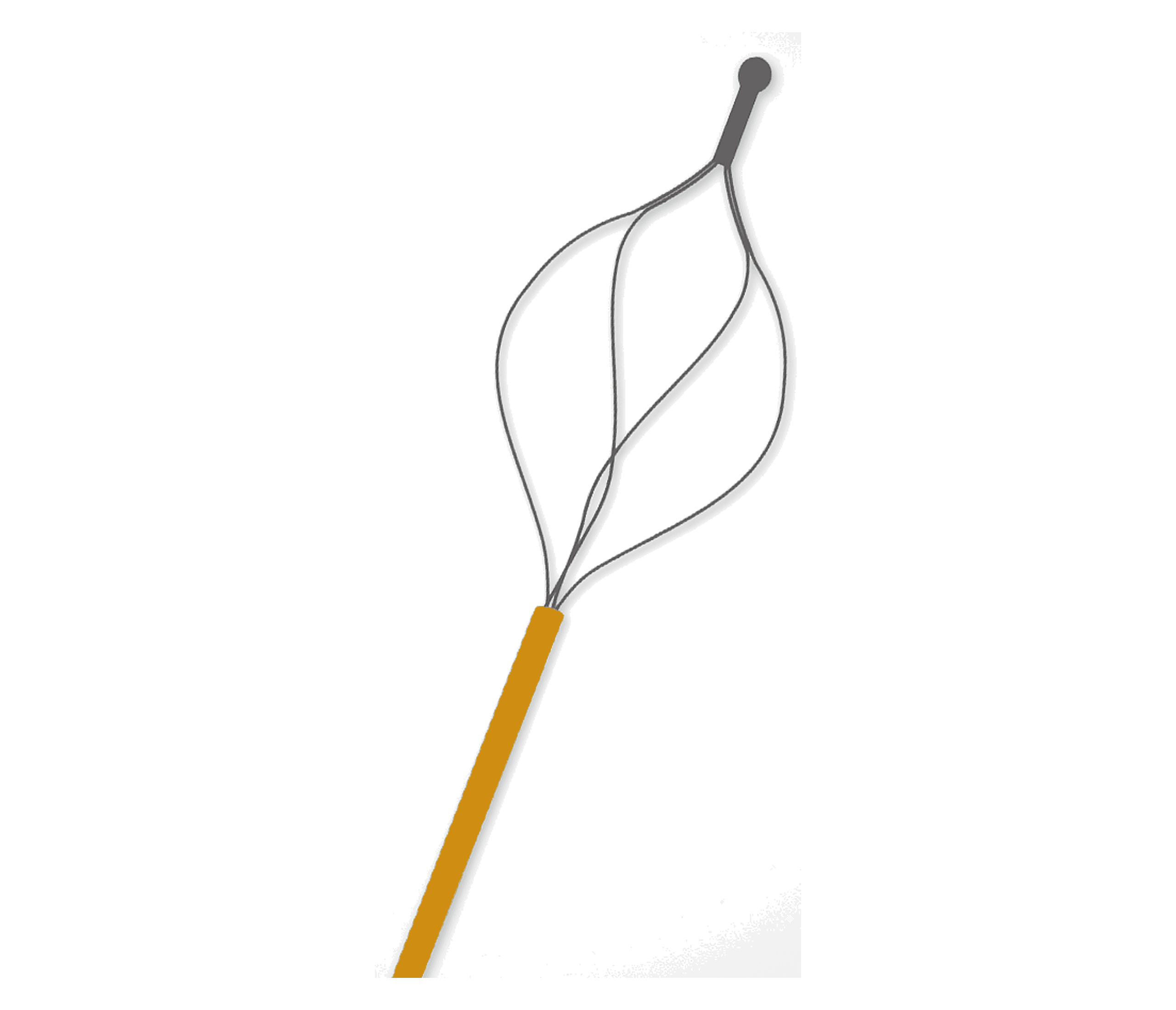 Image of Endovascular retrieval basket