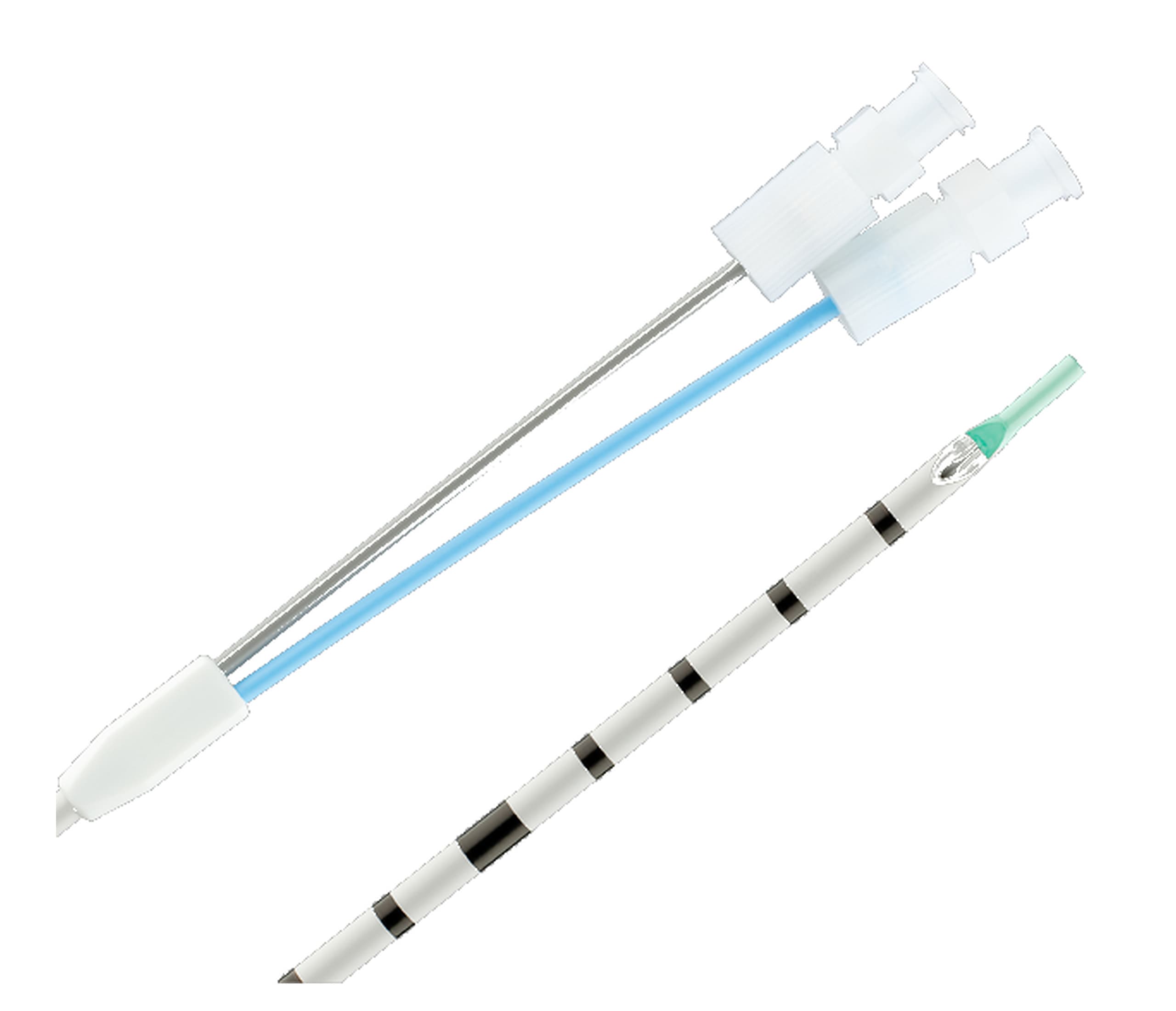 Image of Ureteral access catheter
